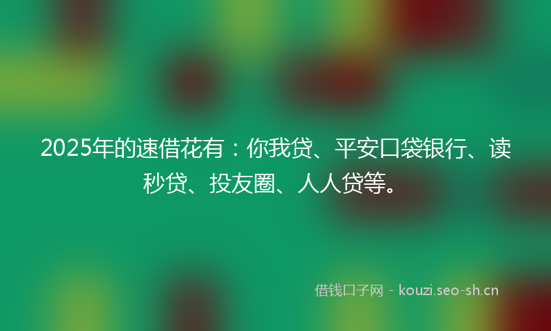 2025年的速借花有：你我贷、平安口袋银行、读秒贷、投友圈、人人贷等。