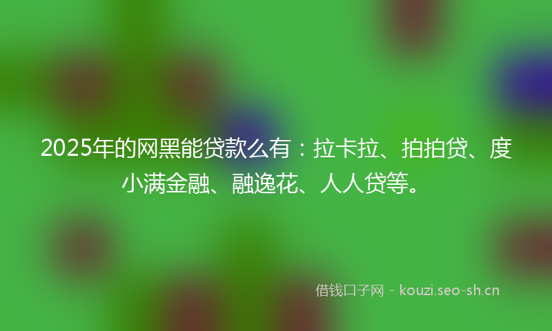2025年的网黑能贷款么有：拉卡拉、拍拍贷、度小满金融、融逸花、人人贷等。