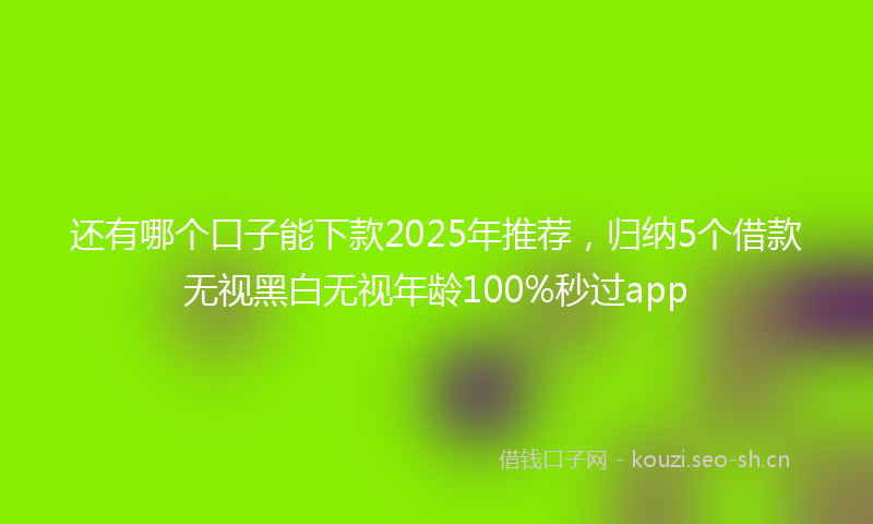 还有哪个口子能下款2025年推荐，归纳5个借款无视黑白无视年龄100%秒过app