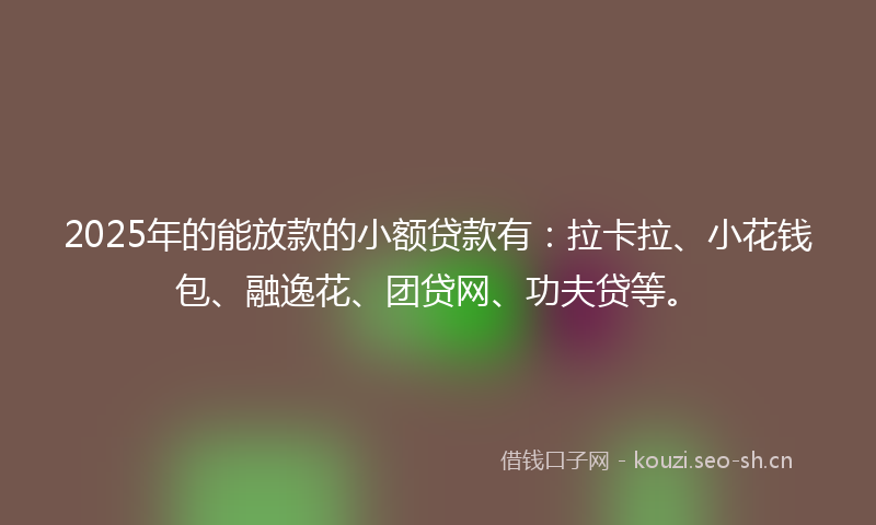 2025年的能放款的小额贷款有：拉卡拉、小花钱包、融逸花、团贷网、功夫贷等。