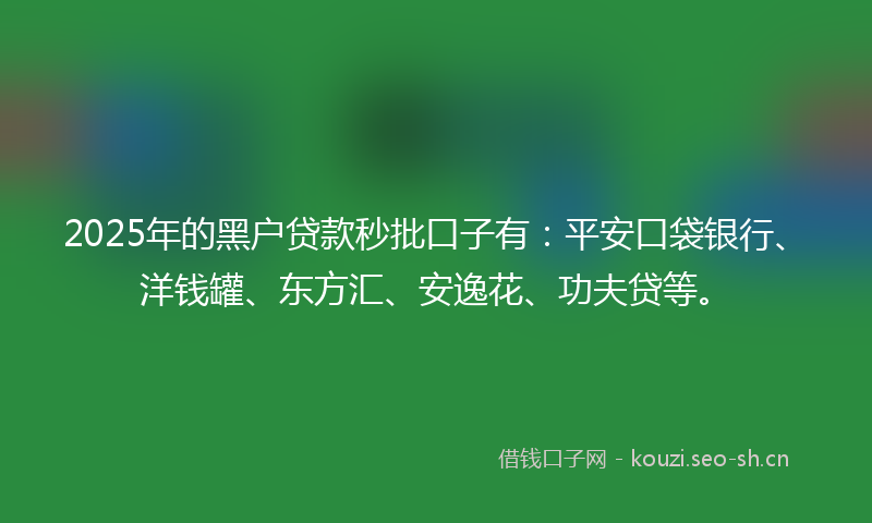 2025年的黑户贷款秒批口子有：平安口袋银行、洋钱罐、东方汇、安逸花、功夫贷等。