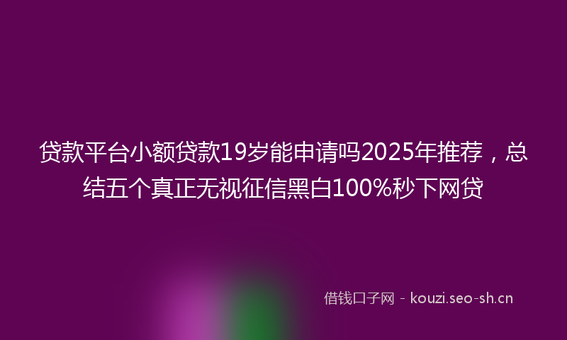 贷款平台小额贷款19岁能申请吗2025年推荐，总结五个真正无视征信黑白100%秒下网贷