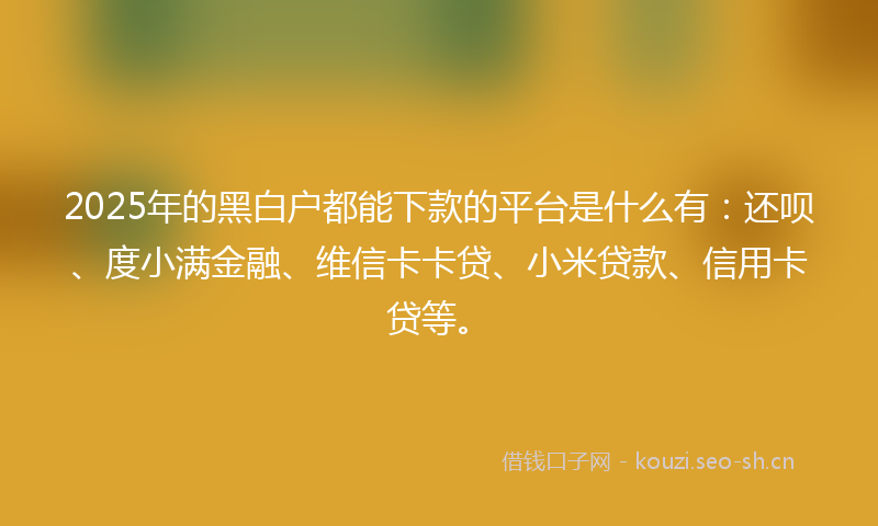 2025年的黑白户都能下款的平台是什么有：还呗、度小满金融、维信卡卡贷、小米贷款、信用卡贷等。