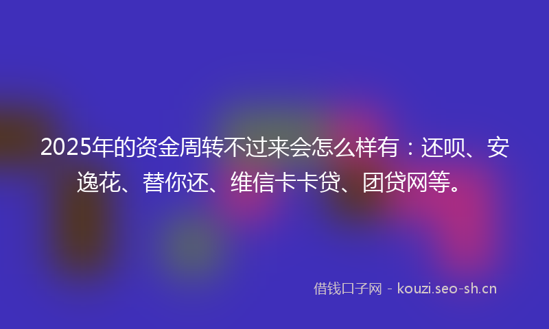 2025年的资金周转不过来会怎么样有：还呗、安逸花、替你还、维信卡卡贷、团贷网等。
