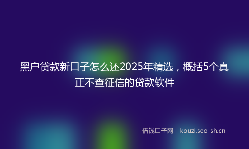 黑户贷款新口子怎么还2025年精选，概括5个真正不查征信的贷款软件