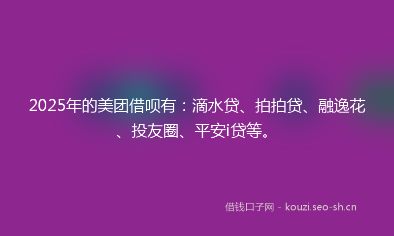 2025年的美团借呗有：滴水贷、拍拍贷、融逸花、投友圈、平安i贷等。