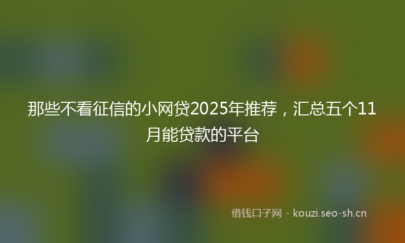 那些不看征信的小网贷2025年推荐，汇总五个11月能贷款的平台