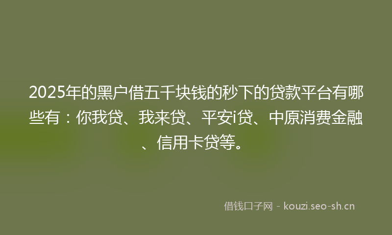 2025年的黑户借五千块钱的秒下的贷款平台有哪些有：你我贷、我来贷、平安i贷、中原消费金融、信用卡贷等。