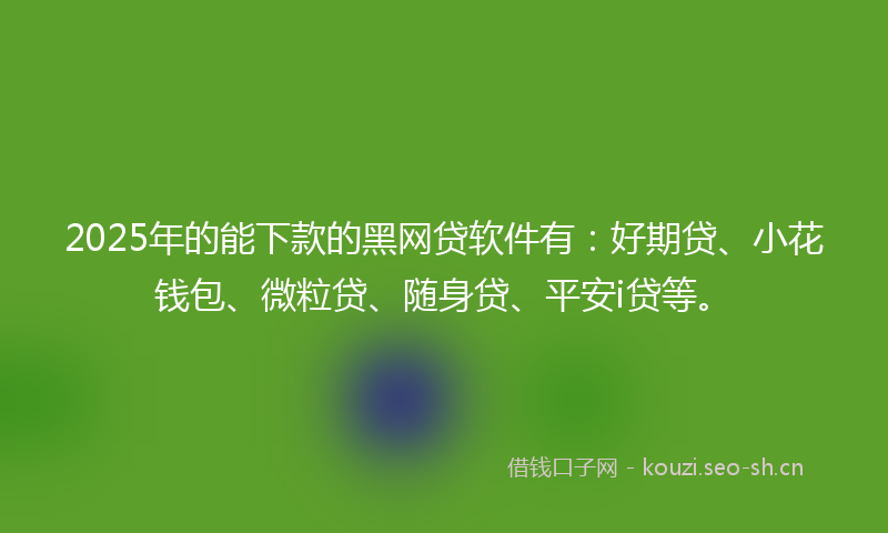 2025年的能下款的黑网贷软件有：好期贷、小花钱包、微粒贷、随身贷、平安i贷等。