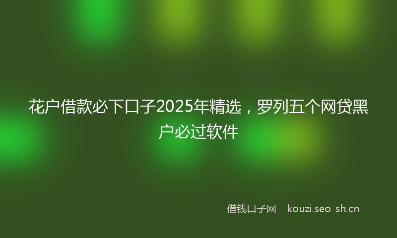 花户借款必下口子2025年精选，罗列五个网贷黑户必过软件