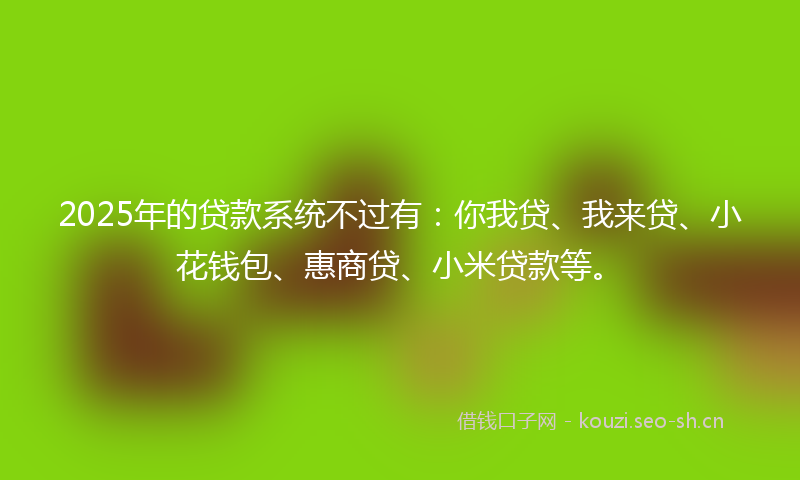2025年的贷款系统不过有：你我贷、我来贷、小花钱包、惠商贷、小米贷款等。