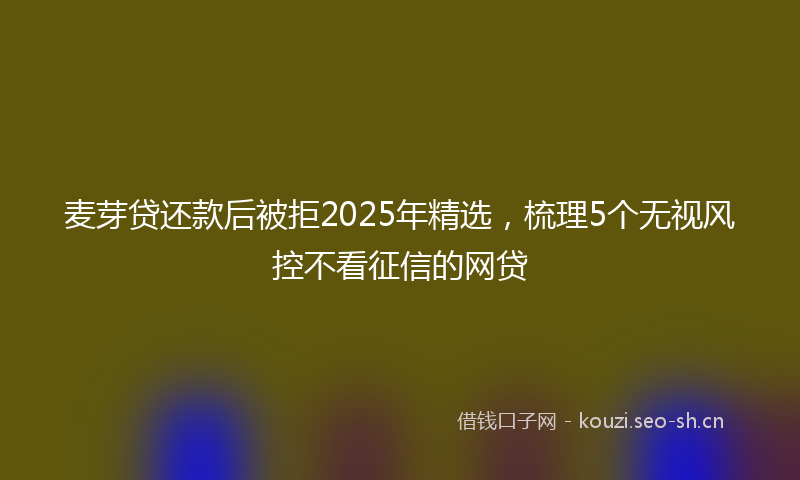 麦芽贷还款后被拒2025年精选，梳理5个无视风控不看征信的网贷