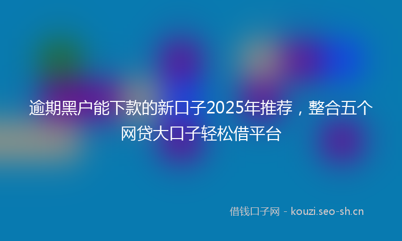 逾期黑户能下款的新口子2025年推荐，整合五个网贷大口子轻松借平台