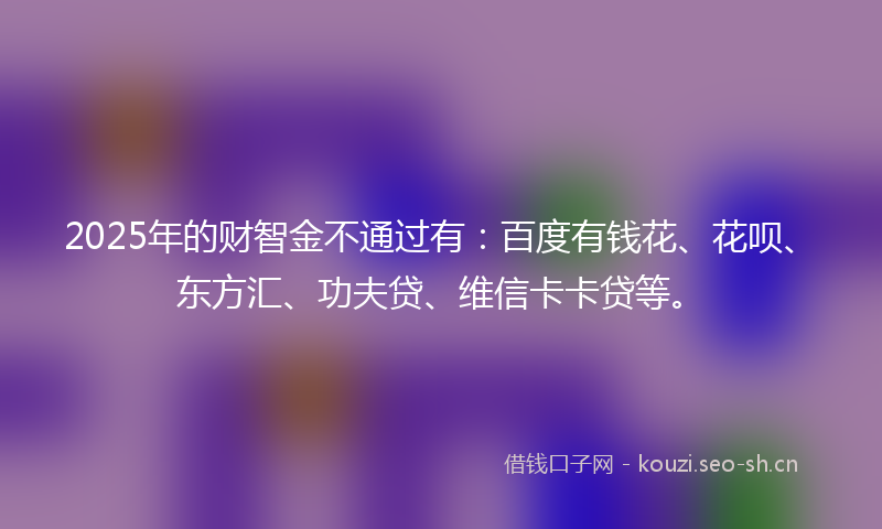 2025年的财智金不通过有：百度有钱花、花呗、东方汇、功夫贷、维信卡卡贷等。