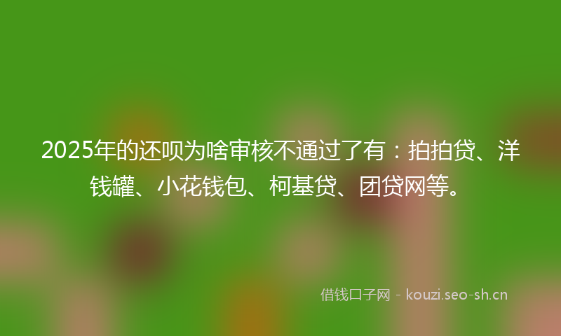 2025年的还呗为啥审核不通过了有：拍拍贷、洋钱罐、小花钱包、柯基贷、团贷网等。