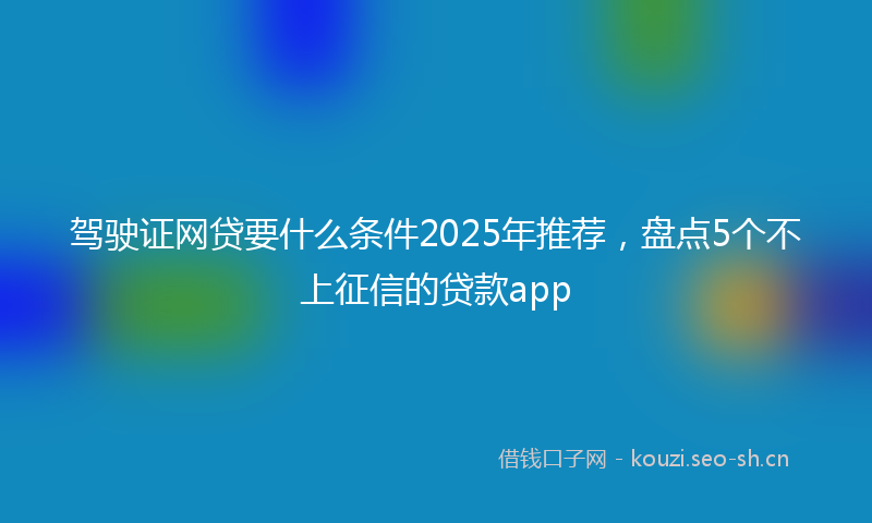 驾驶证网贷要什么条件2025年推荐，盘点5个不上征信的贷款app