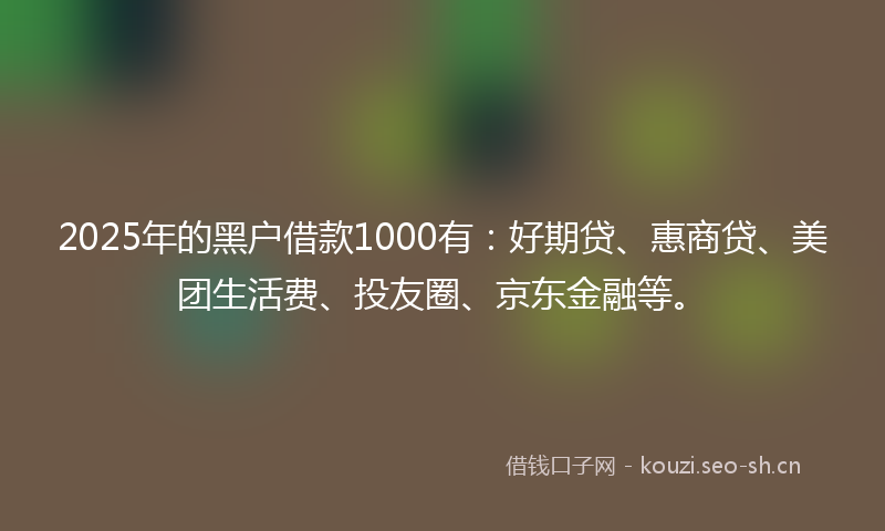 2025年的黑户借款1000有：好期贷、惠商贷、美团生活费、投友圈、京东金融等。