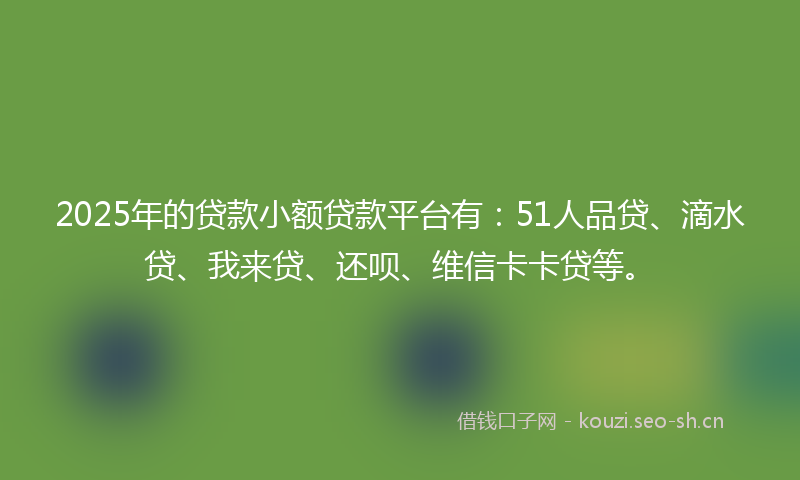 2025年的贷款小额贷款平台有：51人品贷、滴水贷、我来贷、还呗、维信卡卡贷等。