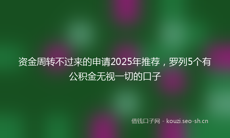 资金周转不过来的申请2025年推荐，罗列5个有公积金无视一切的口子