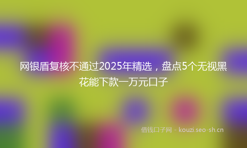 网银盾复核不通过2025年精选，盘点5个无视黑花能下款一万元口子