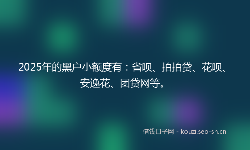 2025年的黑户小额度有：省呗、拍拍贷、花呗、安逸花、团贷网等。