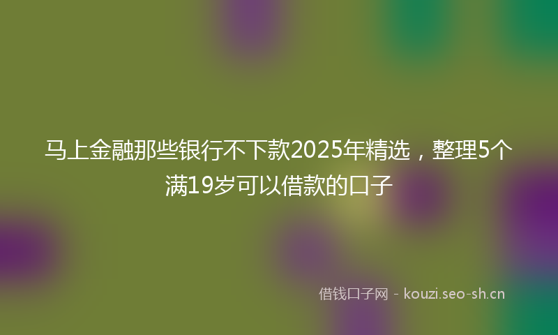 马上金融那些银行不下款2025年精选，整理5个满19岁可以借款的口子