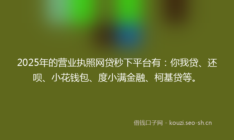 2025年的营业执照网贷秒下平台有：你我贷、还呗、小花钱包、度小满金融、柯基贷等。