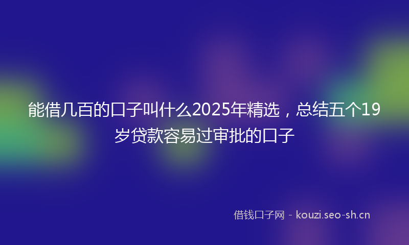 能借几百的口子叫什么2025年精选，总结五个19岁贷款容易过审批的口子