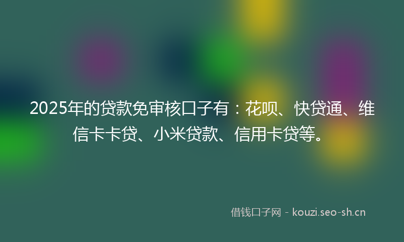 2025年的贷款免审核口子有：花呗、快贷通、维信卡卡贷、小米贷款、信用卡贷等。
