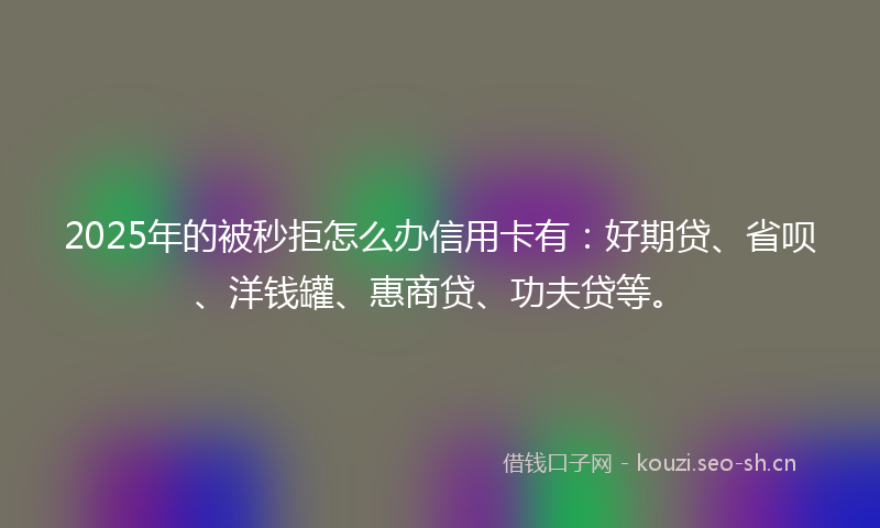 2025年的被秒拒怎么办信用卡有：好期贷、省呗、洋钱罐、惠商贷、功夫贷等。