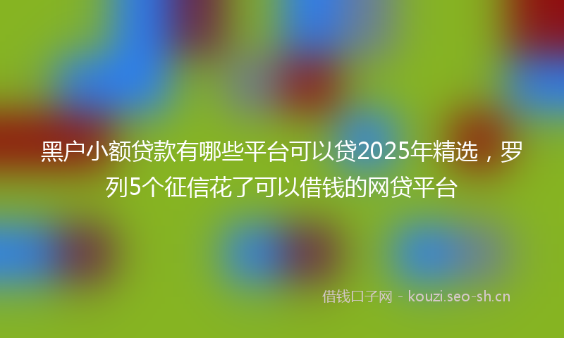 黑户小额贷款有哪些平台可以贷2025年精选，罗列5个征信花了可以借钱的网贷平台