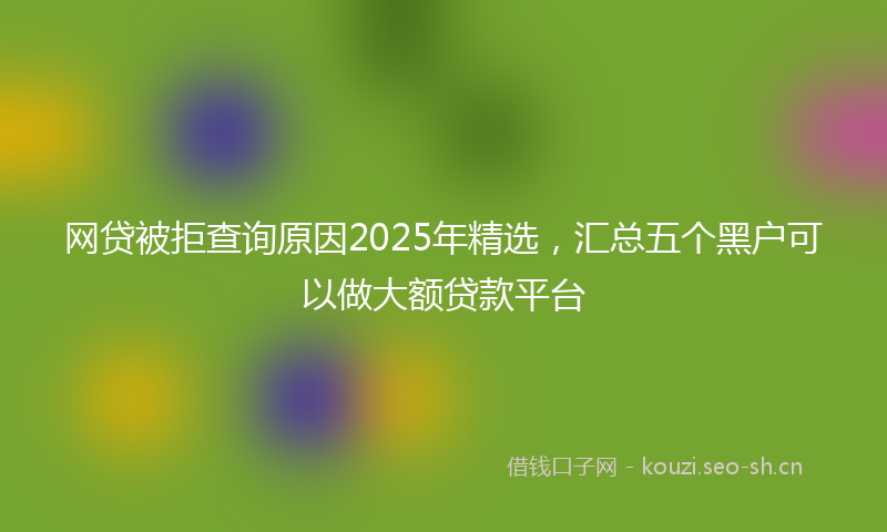 网贷被拒查询原因2025年精选，汇总五个黑户可以做大额贷款平台