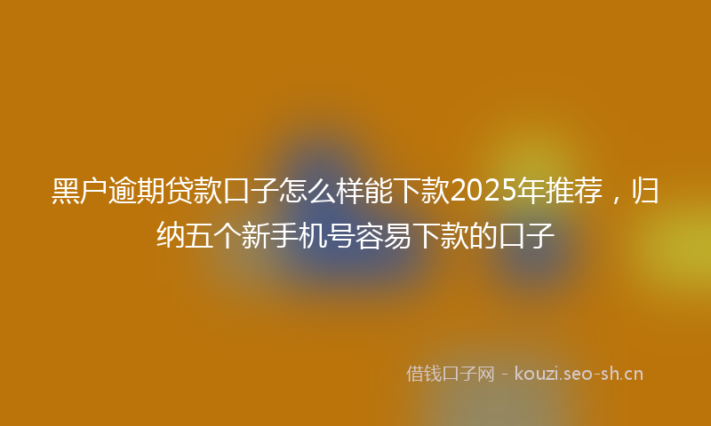 黑户逾期贷款口子怎么样能下款2025年推荐，归纳五个新手机号容易下款的口子