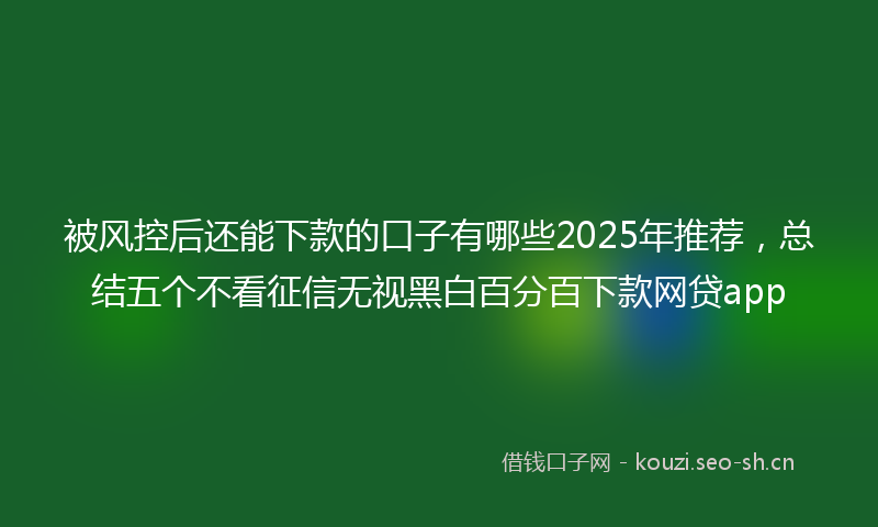 被风控后还能下款的口子有哪些2025年推荐，总结五个不看征信无视黑白百分百下款网贷app
