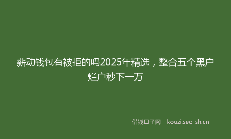 薪动钱包有被拒的吗2025年精选，整合五个黑户烂户秒下一万
