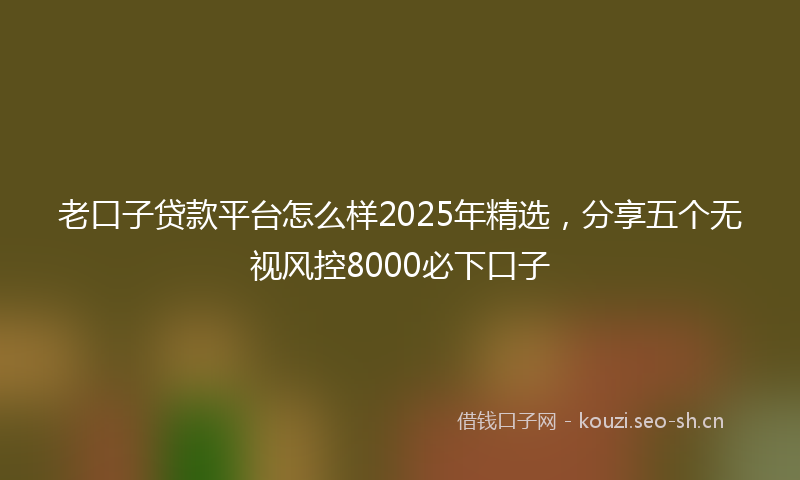 老口子贷款平台怎么样2025年精选，分享五个无视风控8000必下口子