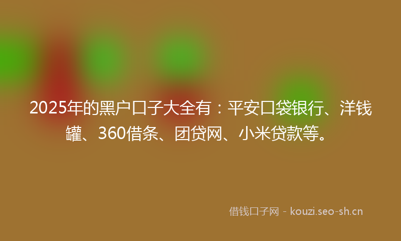 2025年的黑户口子大全有：平安口袋银行、洋钱罐、360借条、团贷网、小米贷款等。