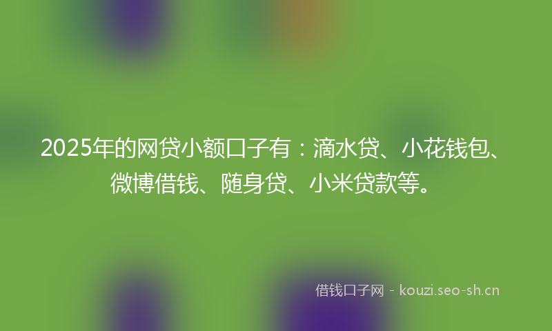 2025年的网贷小额口子有：滴水贷、小花钱包、微博借钱、随身贷、小米贷款等。