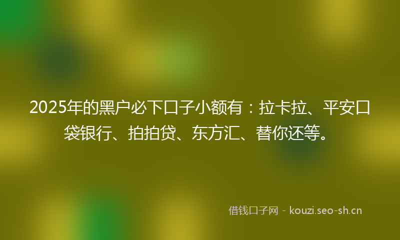 2025年的黑户必下口子小额有：拉卡拉、平安口袋银行、拍拍贷、东方汇、替你还等。