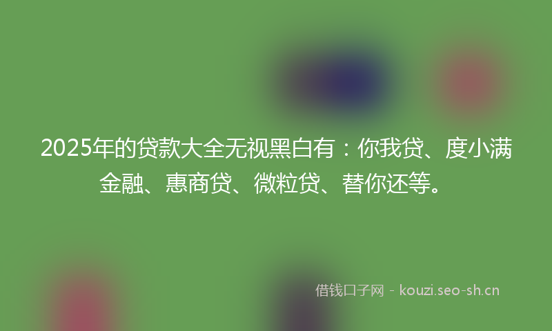 2025年的贷款大全无视黑白有：你我贷、度小满金融、惠商贷、微粒贷、替你还等。