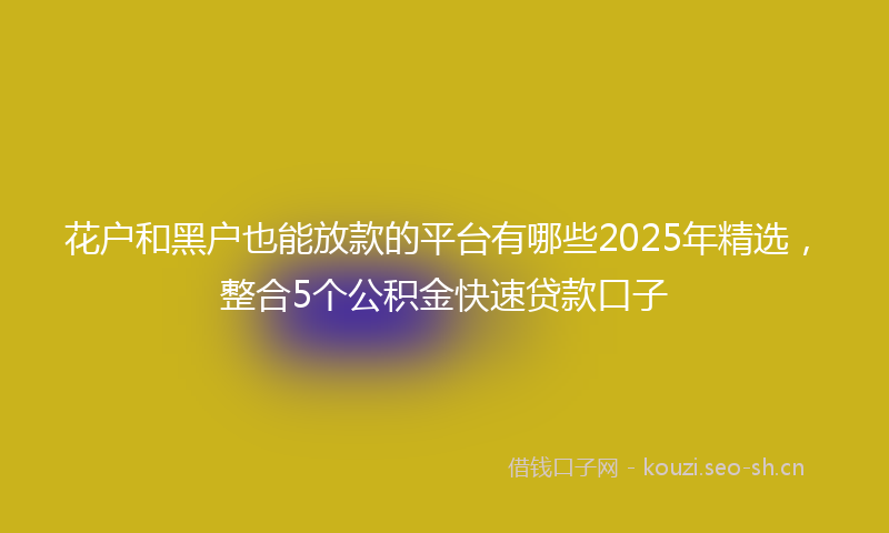 花户和黑户也能放款的平台有哪些2025年精选，整合5个公积金快速贷款口子