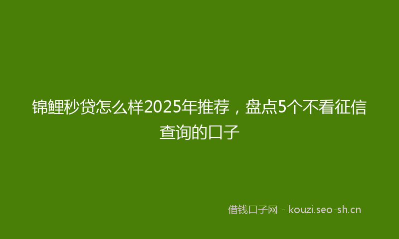 锦鲤秒贷怎么样2025年推荐，盘点5个不看征信查询的口子