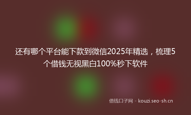 还有哪个平台能下款到微信2025年精选，梳理5个借钱无视黑白100%秒下软件