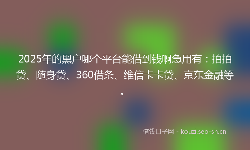 2025年的黑户哪个平台能借到钱啊急用有：拍拍贷、随身贷、360借条、维信卡卡贷、京东金融等。