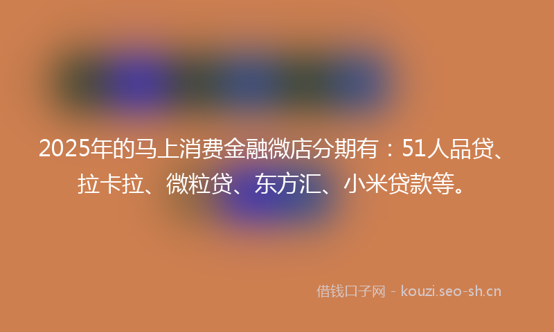 2025年的马上消费金融微店分期有：51人品贷、拉卡拉、微粒贷、东方汇、小米贷款等。
