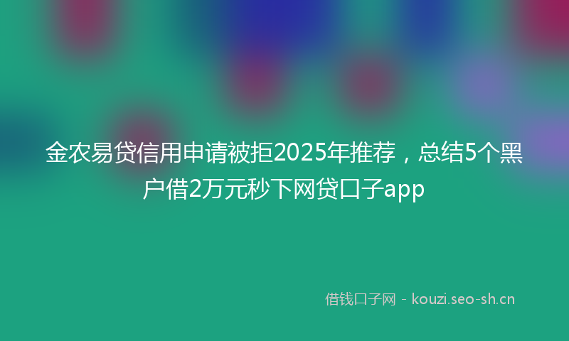 金农易贷信用申请被拒2025年推荐，总结5个黑户借2万元秒下网贷口子app