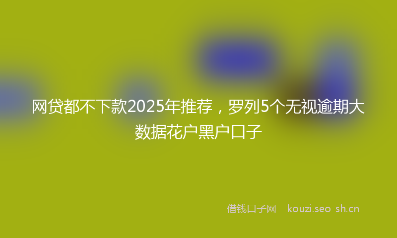 网贷都不下款2025年推荐，罗列5个无视逾期大数据花户黑户口子