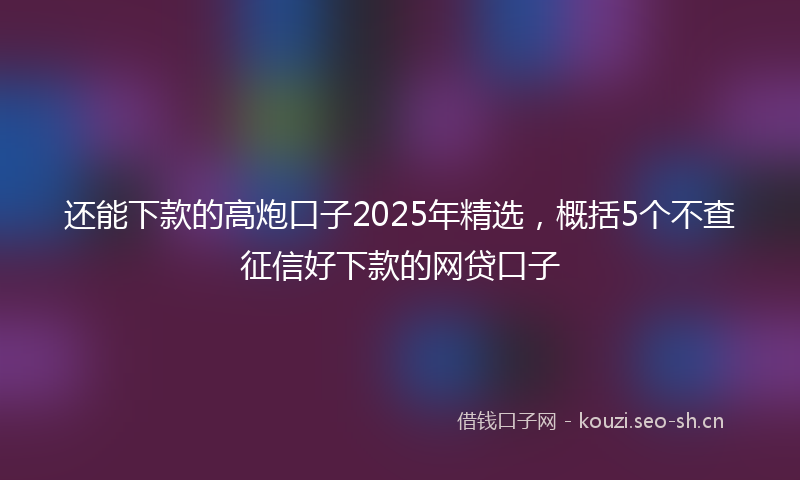 还能下款的高炮口子2025年精选，概括5个不查征信好下款的网贷口子