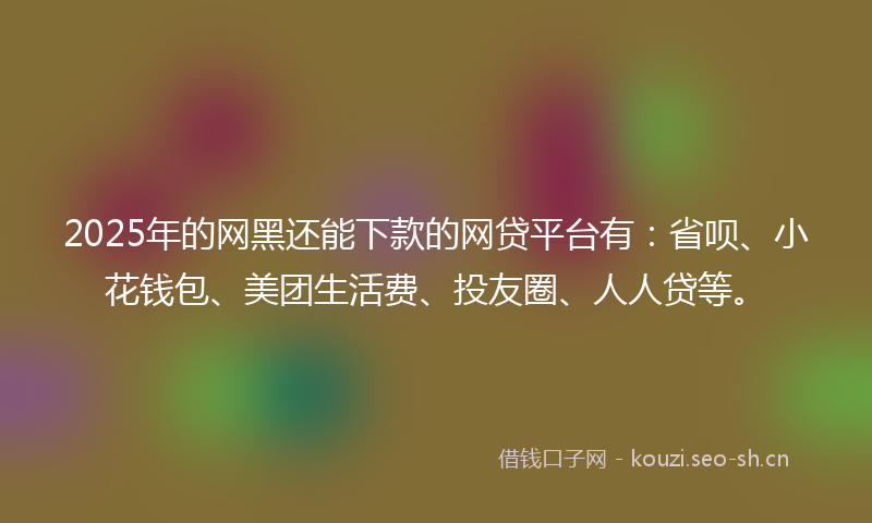 2025年的网黑还能下款的网贷平台有：省呗、小花钱包、美团生活费、投友圈、人人贷等。