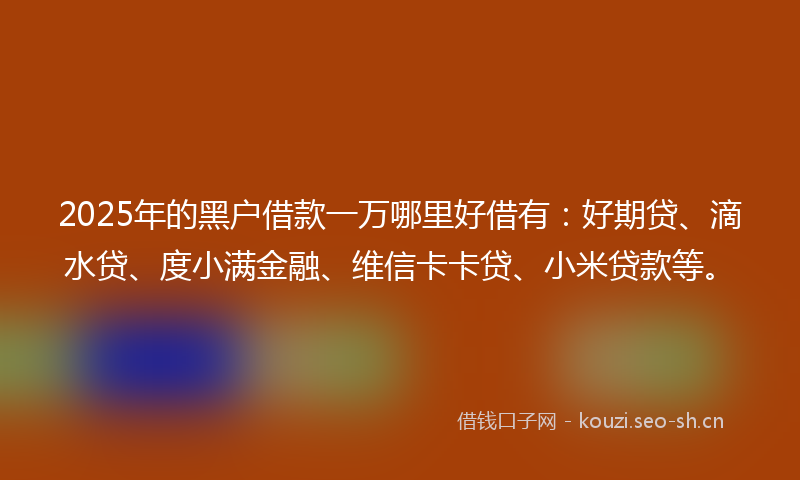 2025年的黑户借款一万哪里好借有：好期贷、滴水贷、度小满金融、维信卡卡贷、小米贷款等。